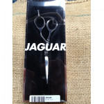 Jaguar CJ4 plus 5.5" Silver Line Master class scissor.